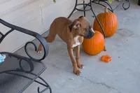 processed/5c194308-8b77-4470-9c79-7e4ecf8a469c/listing/f50b8f03-180e-4925-bc9d-b9f19f6def12/77942bcb-58e1-41f6-aeb1-b8cace4a5dc5