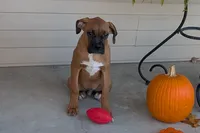 processed/5c194308-8b77-4470-9c79-7e4ecf8a469c/listing/f50b8f03-180e-4925-bc9d-b9f19f6def12/b72959db-13c2-4a0d-8d0f-aa5d70808f7f