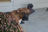 processed/5c194308-8b77-4470-9c79-7e4ecf8a469c/listing/f50b8f03-180e-4925-bc9d-b9f19f6def12/b87ad869-cf10-4bd7-a9cf-7ca5b6dd4cbe