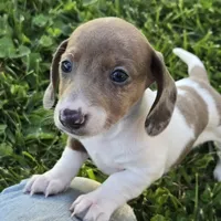 processed/5c1ba688-8fbf-4aee-b9bc-48281700d865/facility/1935e932-a2e7-4850-9b45-cfb910d582af