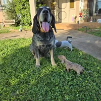 processed/5c1ba688-8fbf-4aee-b9bc-48281700d865/facility/6ab2bf61-0c75-4cdc-ba02-268fd2254288