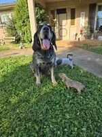 processed/5c1ba688-8fbf-4aee-b9bc-48281700d865/facility/6ab2bf61-0c75-4cdc-ba02-268fd2254288