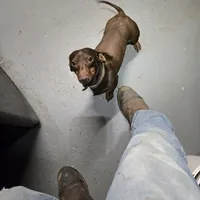 processed/5c1ba688-8fbf-4aee-b9bc-48281700d865/facility/930a350e-0463-4d0e-95c4-ae6ea2dd8754