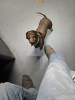 processed/5c1ba688-8fbf-4aee-b9bc-48281700d865/facility/930a350e-0463-4d0e-95c4-ae6ea2dd8754