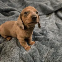 processed/5c1ba688-8fbf-4aee-b9bc-48281700d865/facility/de0f746f-44c8-4c84-8cb1-fc445a842d14