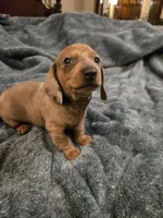 processed/5c1ba688-8fbf-4aee-b9bc-48281700d865/facility/de0f746f-44c8-4c84-8cb1-fc445a842d14