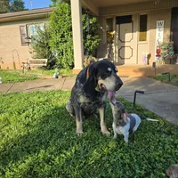 processed/5c1ba688-8fbf-4aee-b9bc-48281700d865/facility/fa408c28-b378-4785-9642-1a2343324967