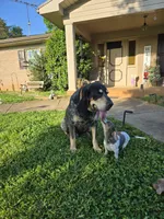 processed/5c1ba688-8fbf-4aee-b9bc-48281700d865/facility/fa408c28-b378-4785-9642-1a2343324967