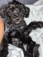 processed/5c1f2ca5-e84f-460a-af69-cbece41033a9/facility/1f05bf04-eef5-45b6-a9c3-ac38723f73db