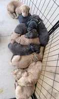 Facility photo