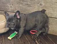 processed/5c337c5f-218d-467f-b041-f32041207432/listing/5e831b8f-88ca-4b9f-a113-a134a7c222ad/474c43e1-b976-4dd0-8bd5-1d9f1ee0ce51