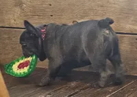 processed/5c337c5f-218d-467f-b041-f32041207432/listing/5e831b8f-88ca-4b9f-a113-a134a7c222ad/4778c154-4bb4-4aca-93d8-20a4aaeeba6a