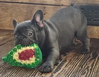 processed/5c337c5f-218d-467f-b041-f32041207432/listing/5e831b8f-88ca-4b9f-a113-a134a7c222ad/4ab8ad33-ed36-4e57-84b3-bc2e16be0e1b