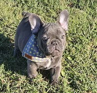 processed/5c337c5f-218d-467f-b041-f32041207432/listing/5e831b8f-88ca-4b9f-a113-a134a7c222ad/8ef1a754-d3cf-4173-a41f-2c14d228cf43