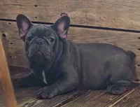 processed/5c337c5f-218d-467f-b041-f32041207432/listing/5e831b8f-88ca-4b9f-a113-a134a7c222ad/ab606671-ea42-4020-9f61-df7b6b168cd4