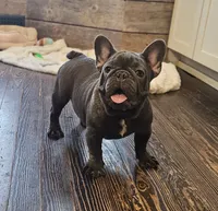 processed/5c337c5f-218d-467f-b041-f32041207432/listing/5e831b8f-88ca-4b9f-a113-a134a7c222ad/bb104b08-8ace-47d8-943e-d0bab903a9ea