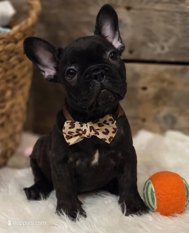 Brock...New Pictures 💙 💙 💙