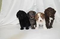 processed/5c33c933-85df-4101-9c47-27a566264592/facility/5ea9b30b-40f6-4d02-b755-06357630c73d