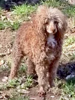 processed/5c33c933-85df-4101-9c47-27a566264592/facility/857353ef-b268-4935-a6bc-5b545aadcf70