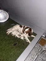 processed/5c33c933-85df-4101-9c47-27a566264592/facility/880fbb37-eeee-4c6f-a5ef-5569f11528a0