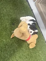 processed/5c33c933-85df-4101-9c47-27a566264592/facility/8b29995c-01e5-42c4-a949-9f35bcb42ddc