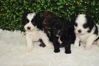 processed/5c33c933-85df-4101-9c47-27a566264592/facility/8e6c5738-4bf6-4c93-836d-f8e964627f94