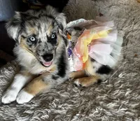 processed/5c352f0a-8c69-4e5a-b4c1-81d68dd74e2e/facility/0fc208bf-2b7b-4e14-9777-0432a36aa71e