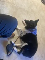 processed/5c352f0a-8c69-4e5a-b4c1-81d68dd74e2e/facility/c1252341-cc4a-4c7c-afae-52e1058d12c5