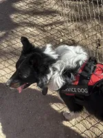 processed/5c352f0a-8c69-4e5a-b4c1-81d68dd74e2e/facility/cb06842c-c31a-4b19-9b06-0d443984361a