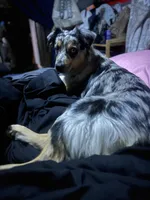 processed/5c352f0a-8c69-4e5a-b4c1-81d68dd74e2e/facility/e6e9a911-0cd4-4ae1-a4b0-df8bcdbfd2e2