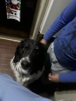 processed/5c352f0a-8c69-4e5a-b4c1-81d68dd74e2e/facility/ef4bff71-51bb-43fe-84c9-7efdc3daade7