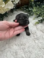 processed/5c433d6f-3742-4403-892d-31324a1b4884/listing/bde19c3d-c61c-49e7-a548-49ef327350b8/85cbc7ed-9be0-41cd-b91d-1c63eda9b46b