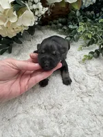 processed/5c433d6f-3742-4403-892d-31324a1b4884/listing/bde19c3d-c61c-49e7-a548-49ef327350b8/86d931ba-35d6-46ac-90b8-94bd32c1766d