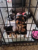 processed/5c4371c5-eb56-4ebc-a980-33c39ff0e10f/facility/0d60634d-3f69-4ca8-9260-fdce8bf3f01d