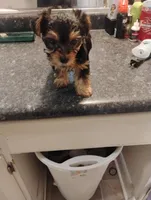 processed/5c4371c5-eb56-4ebc-a980-33c39ff0e10f/facility/39082a11-0c3d-4662-959b-7fe664cbc690