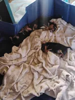 processed/5c4371c5-eb56-4ebc-a980-33c39ff0e10f/facility/4fc41556-dd55-456d-986a-e8e00574de80