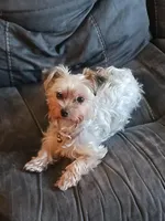 processed/5c4371c5-eb56-4ebc-a980-33c39ff0e10f/facility/c12b7e96-008e-4b48-a36e-93e458d921f0