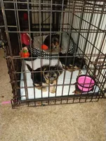 processed/5c4371c5-eb56-4ebc-a980-33c39ff0e10f/facility/caefacf5-5381-4889-8228-539cdd1fa0b0