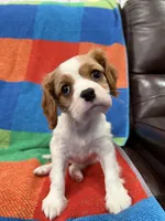 processed/5c4b62a6-9b09-4d16-8a2b-a1f62a5577f1/listing/5e76accc-5804-4655-8859-56c309c0c9c4/0cb61684-011c-4e10-aff2-78f6025cd014