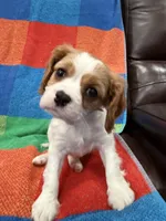 processed/5c4b62a6-9b09-4d16-8a2b-a1f62a5577f1/listing/5e76accc-5804-4655-8859-56c309c0c9c4/63b41046-ea74-4b2b-a068-38717bb7562e