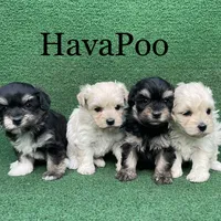 processed/5c4ba23a-7ed2-4db9-9507-897472390cbb/facility/319f588f-9552-4eda-9fe0-e119e36bb2ff