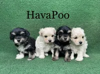 processed/5c4ba23a-7ed2-4db9-9507-897472390cbb/facility/319f588f-9552-4eda-9fe0-e119e36bb2ff