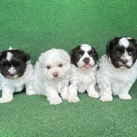 processed/5c4ba23a-7ed2-4db9-9507-897472390cbb/facility/363261eb-b870-4301-8371-5b5f885e3a67