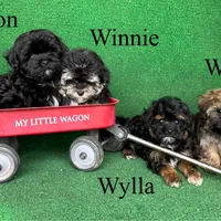 processed/5c4ba23a-7ed2-4db9-9507-897472390cbb/facility/3c50e870-c23b-4d8d-acab-40cb0b33a023