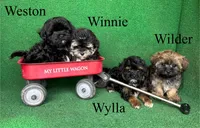 processed/5c4ba23a-7ed2-4db9-9507-897472390cbb/facility/3c50e870-c23b-4d8d-acab-40cb0b33a023