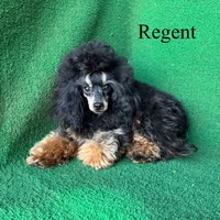 processed/5c4ba23a-7ed2-4db9-9507-897472390cbb/facility/3d595815-6a37-4ff3-9261-4285e5462fb9