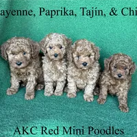 processed/5c4ba23a-7ed2-4db9-9507-897472390cbb/facility/67e46c22-c6c1-42ce-b0fa-4239ec2762dc