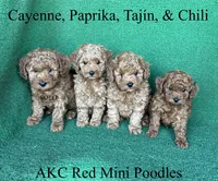 processed/5c4ba23a-7ed2-4db9-9507-897472390cbb/facility/67e46c22-c6c1-42ce-b0fa-4239ec2762dc