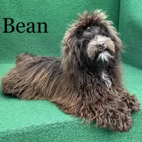 processed/5c4ba23a-7ed2-4db9-9507-897472390cbb/facility/95b262d1-7e7e-464a-814c-c802427d5a5c