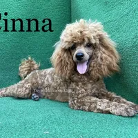 processed/5c4ba23a-7ed2-4db9-9507-897472390cbb/facility/a48ff678-b04d-4dc3-a38a-780afdc0d17d